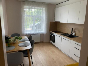 Spacious 3 bedroom apartment in great location in Ventspils
